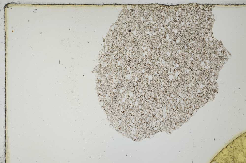 Plane Polarized, S19475