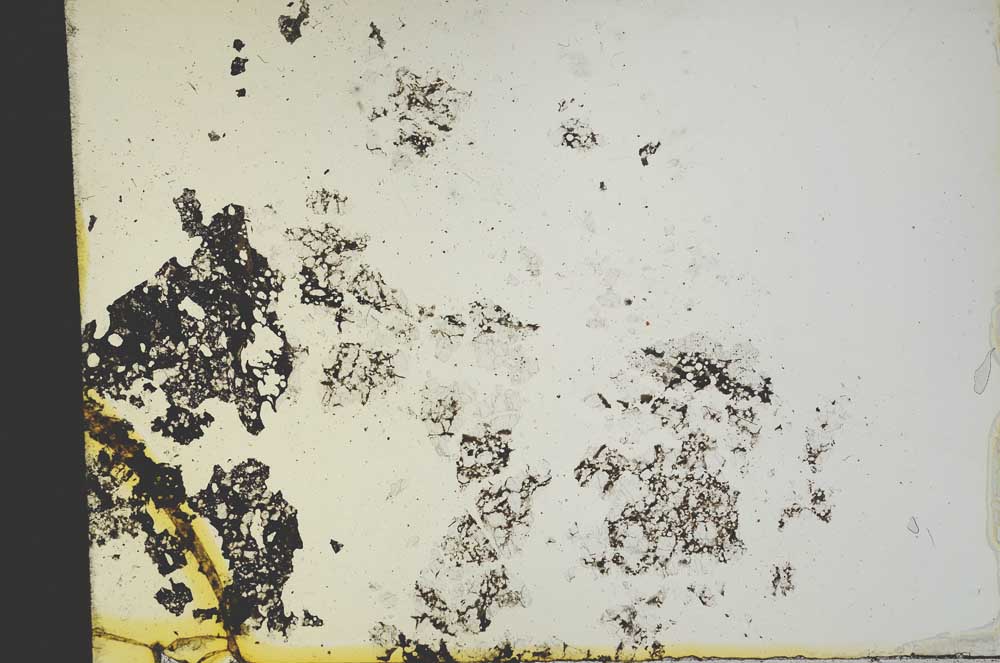 Plane Polarized, S19486