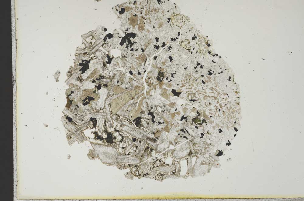 Plane Polarized, S19510