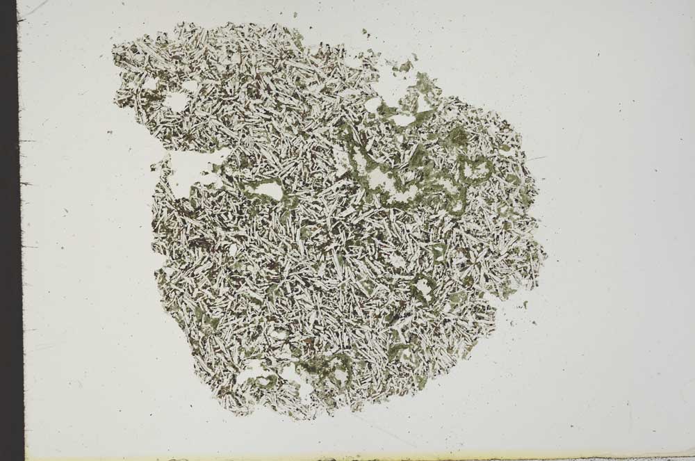 Plane Polarized, S19513