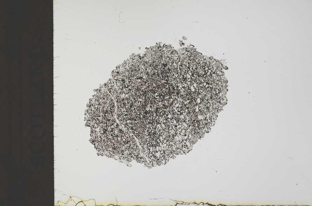 Plane Polarized, S19542