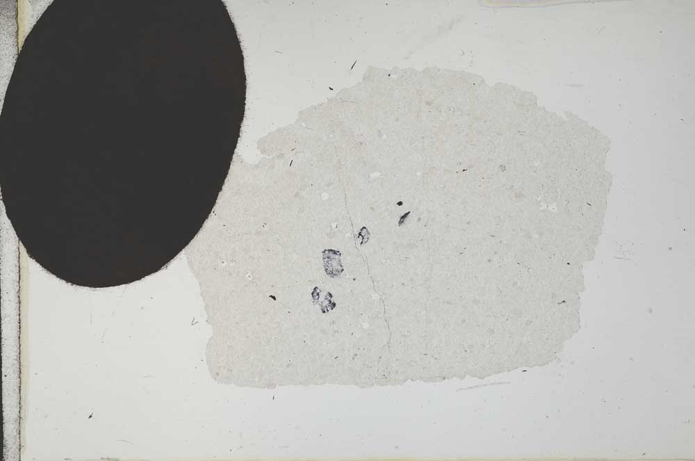 Plane Polarized, S19545