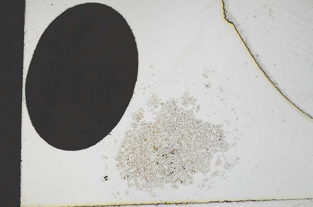 Plane Polarized, S19555