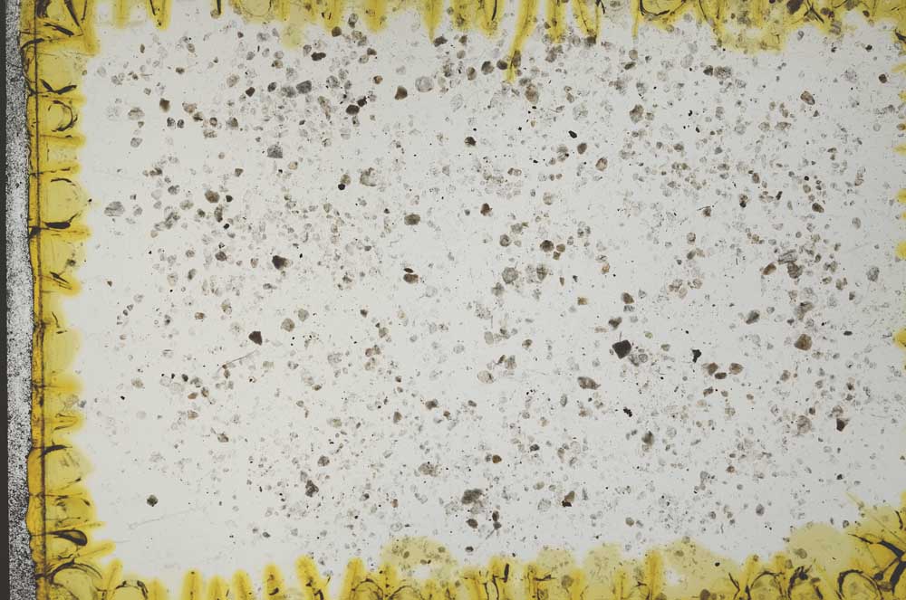 Plane Polarized, S19556