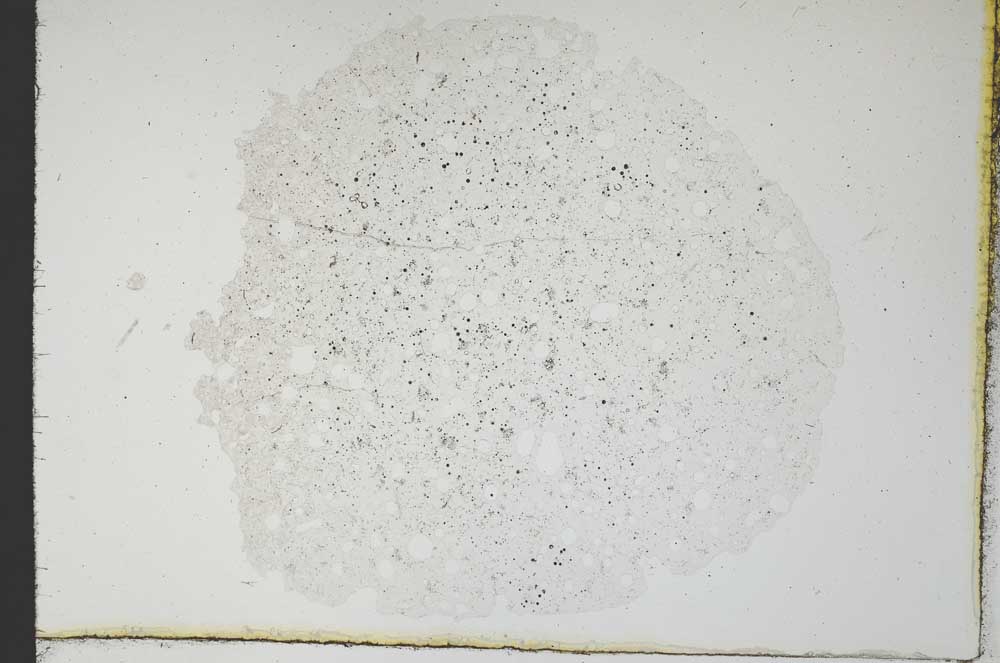 Plane Polarized, S19587