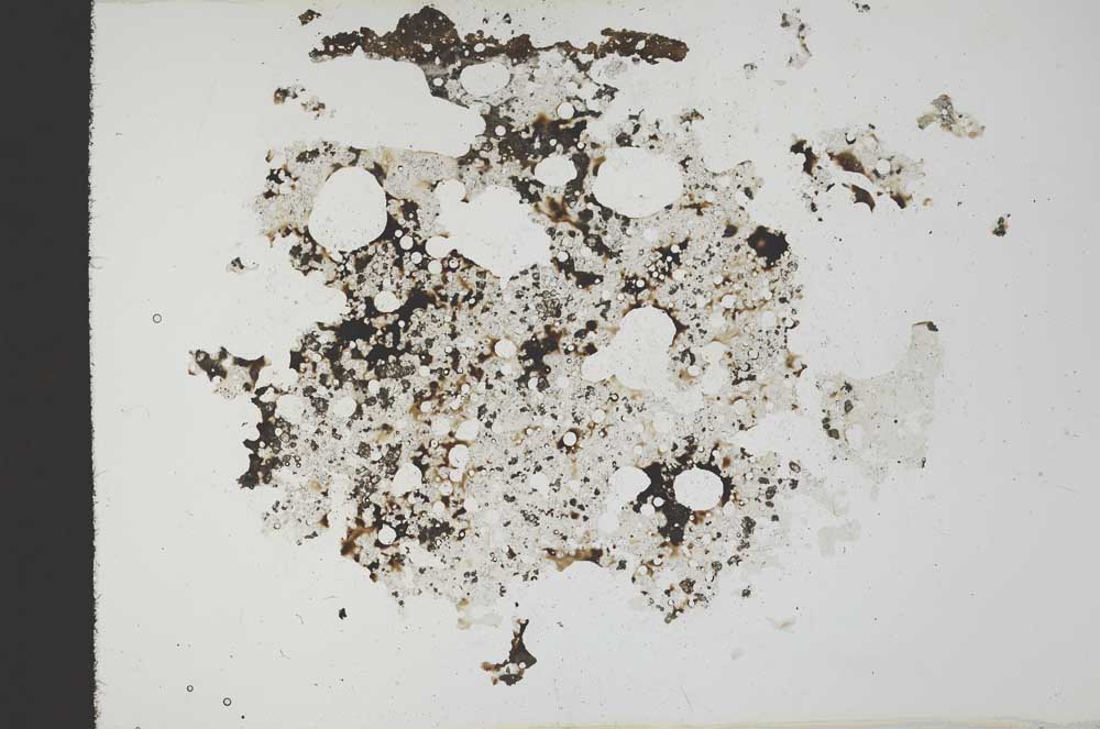 Plane Polarized, S19594