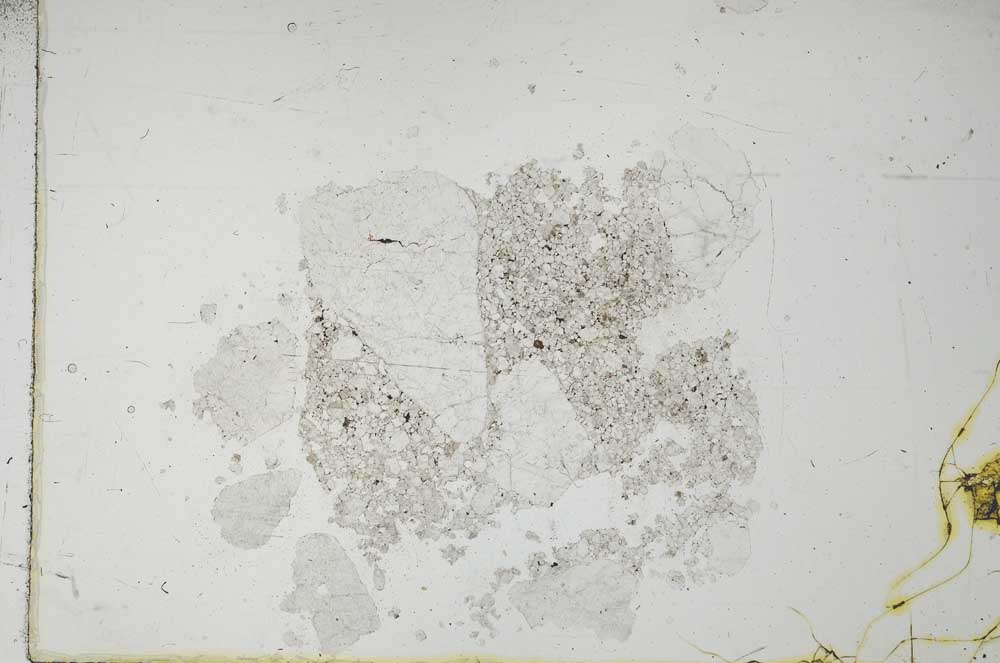 Plane Polarized, S19597