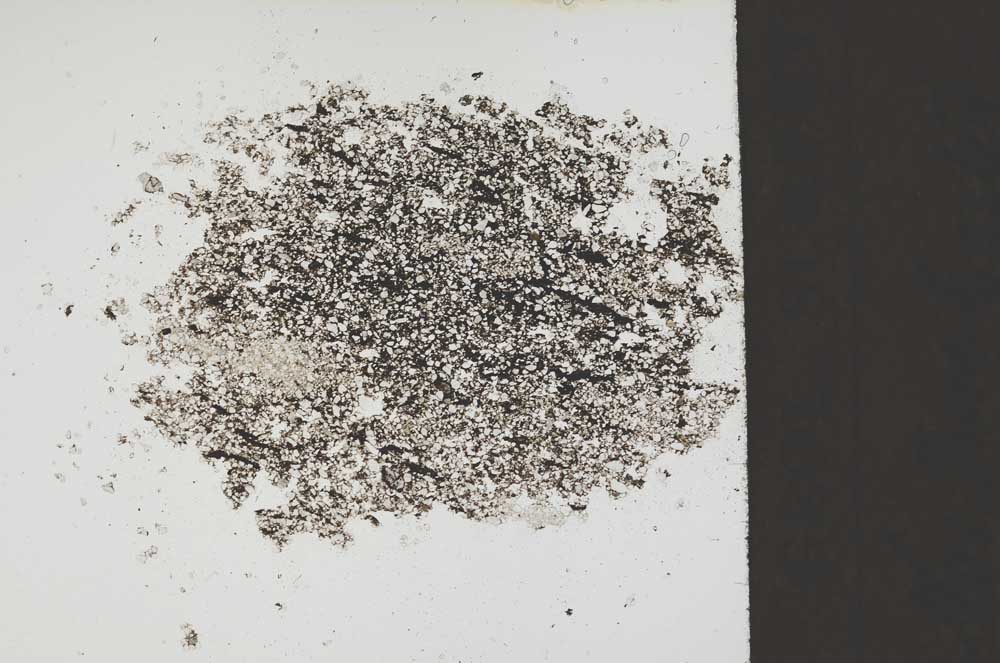 Plane Polarized, S19610