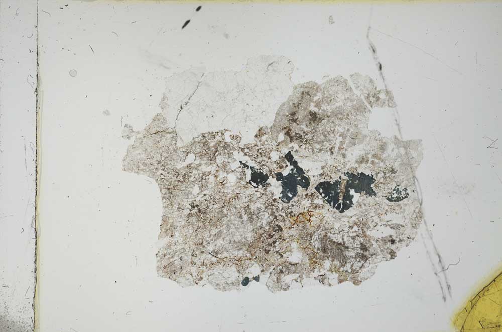 Plane Polarized, S19628