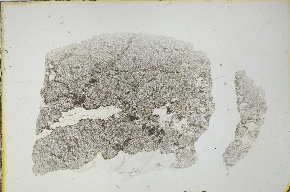 Plane Polarized, S19631