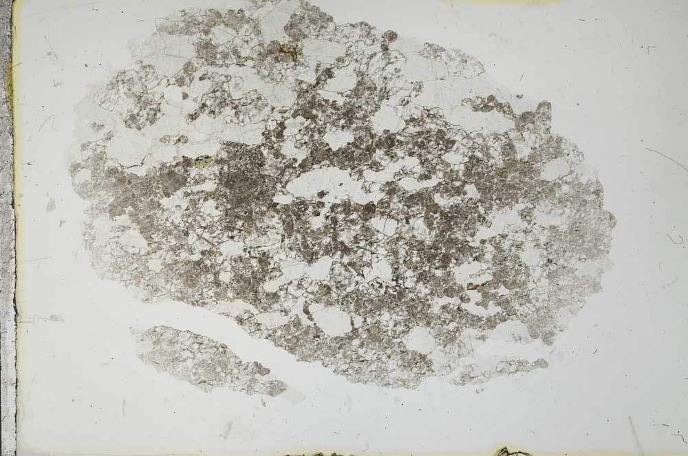 Plane Polarized, S19637