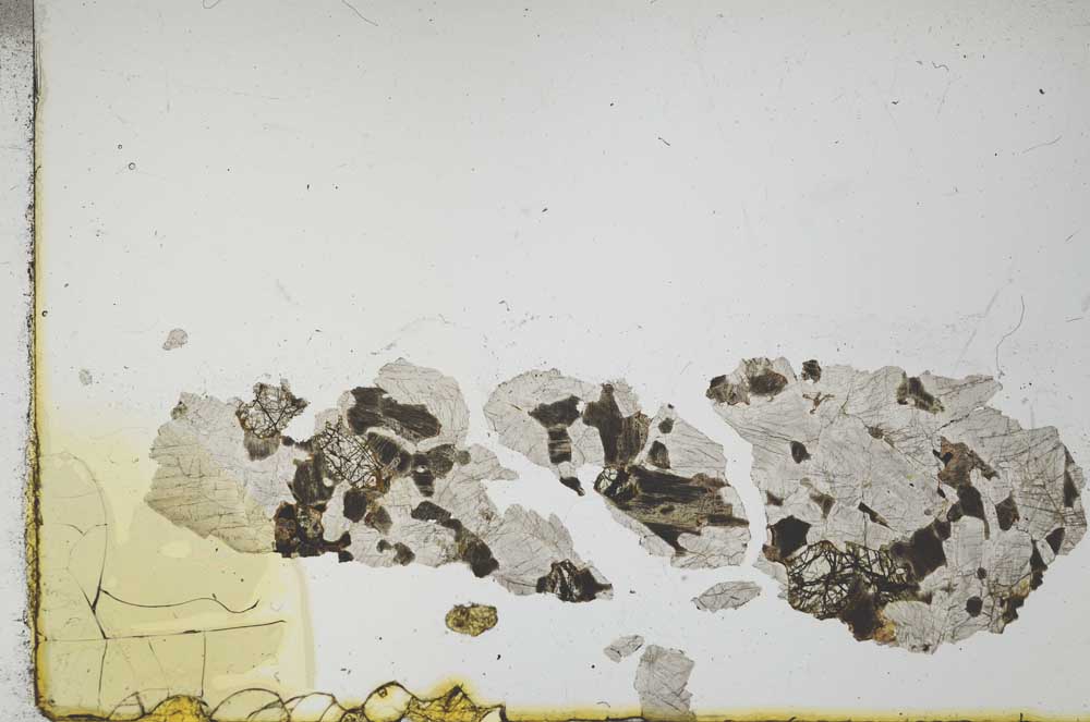Plane Polarized, S19657