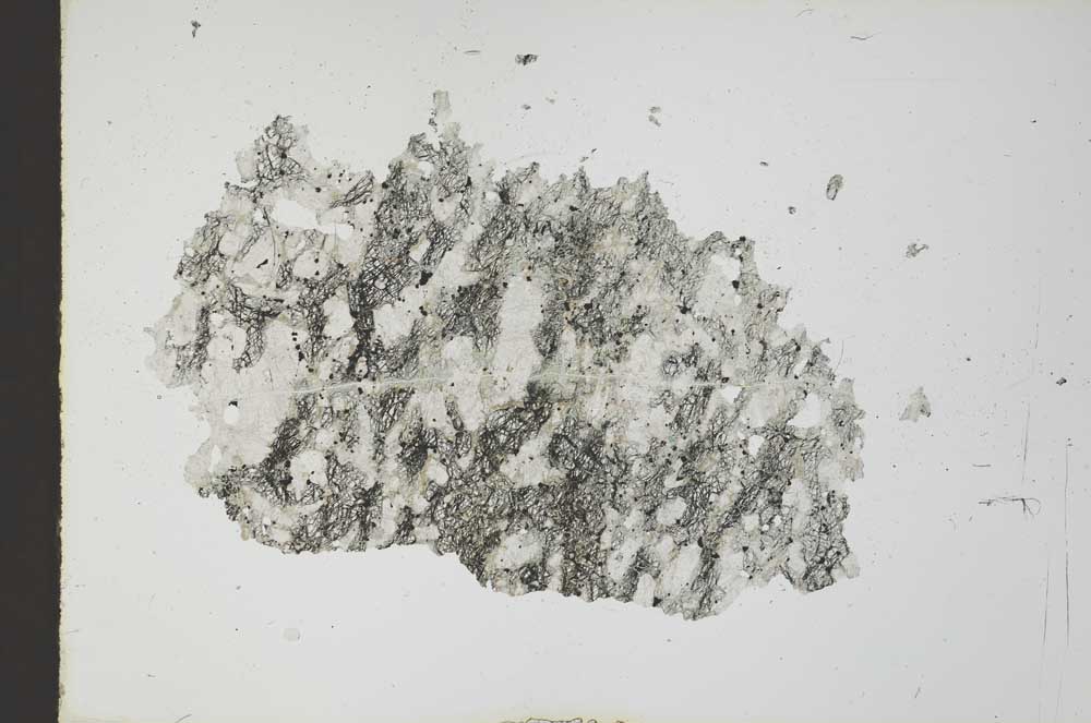 Plane Polarized, S19677