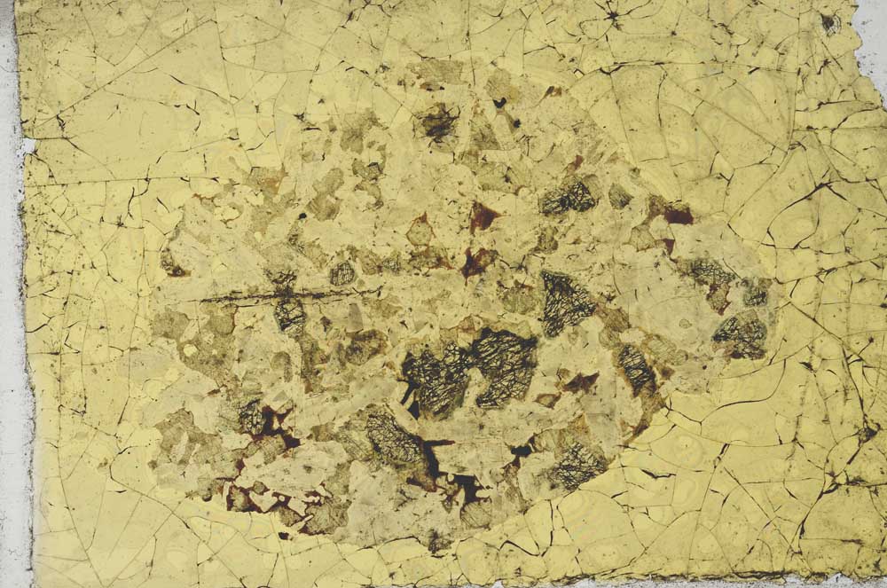 Plane Polarized, S19680