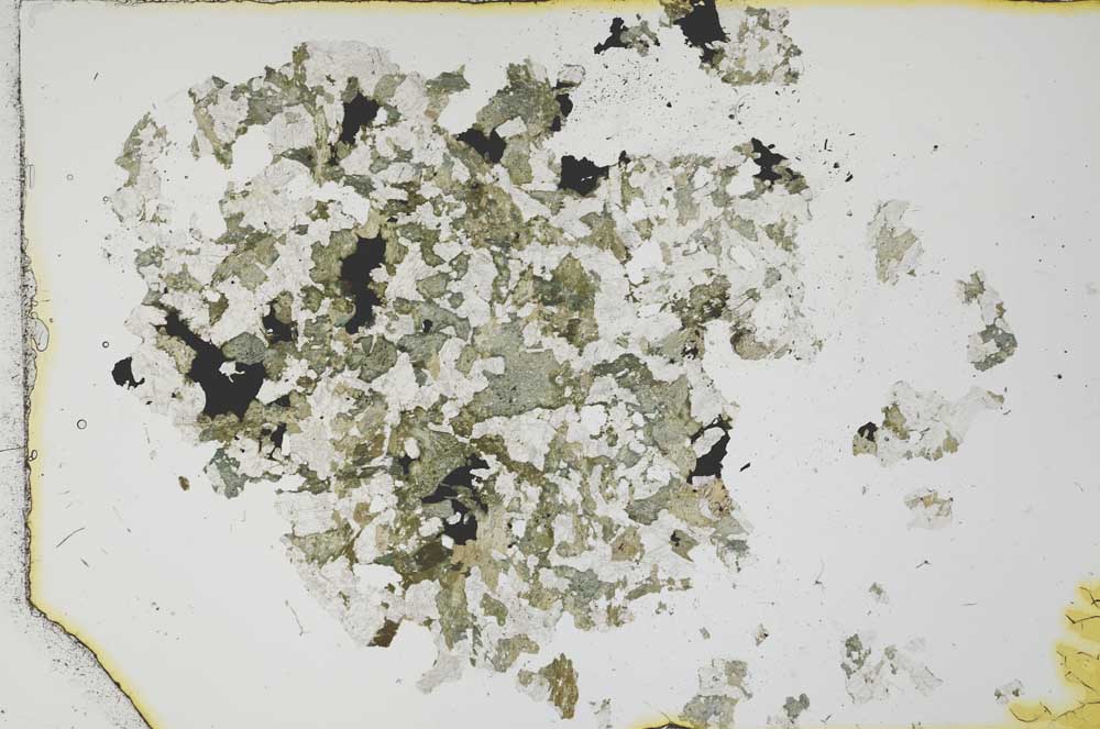 Plane Polarized, S19684