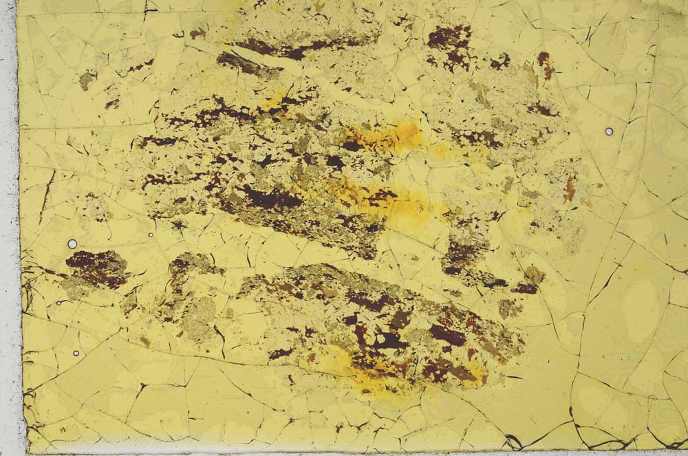 Plane Polarized, S19690