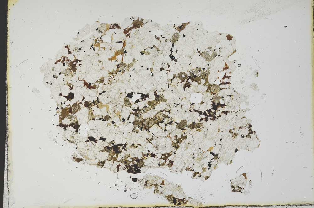 Plane Polarized, S19695