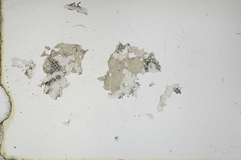 Plane Polarized, S19701