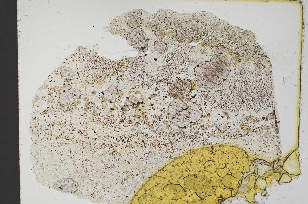 Plane Polarized, S19707