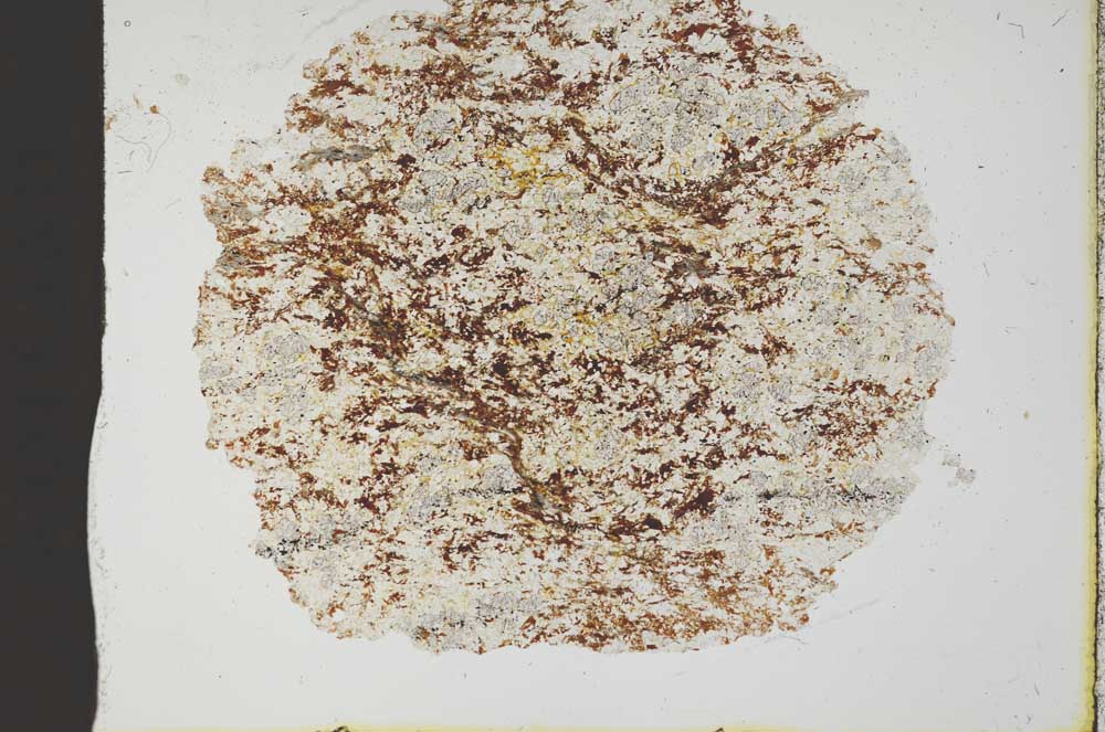 Plane Polarized, S19710