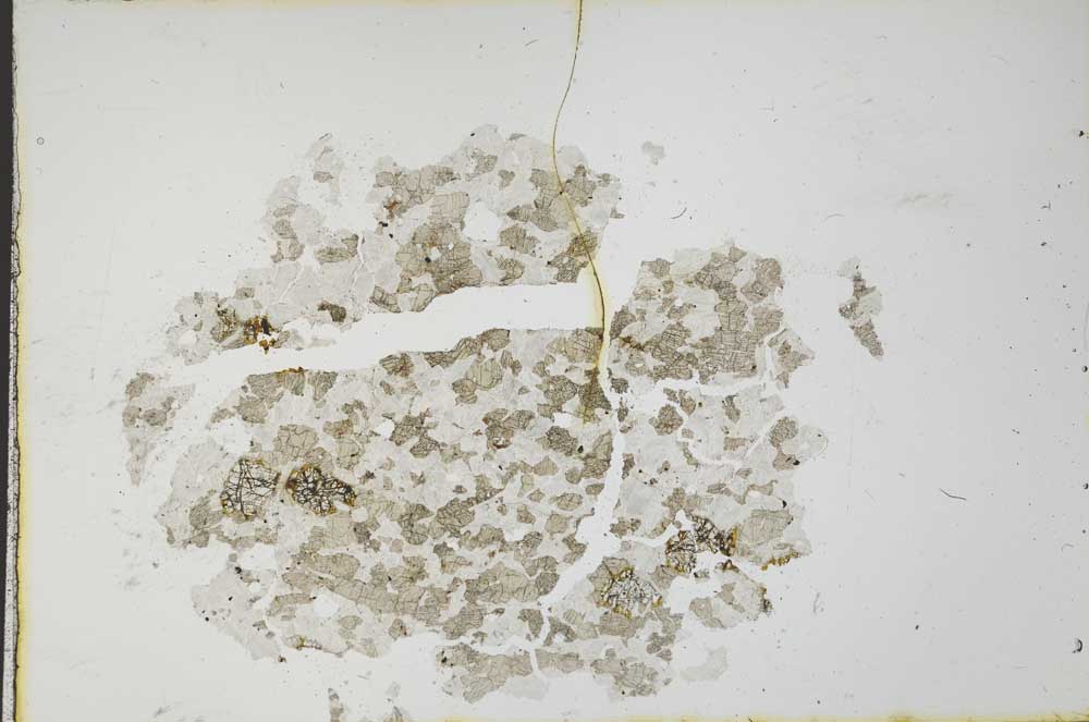 Plane Polarized, S19725