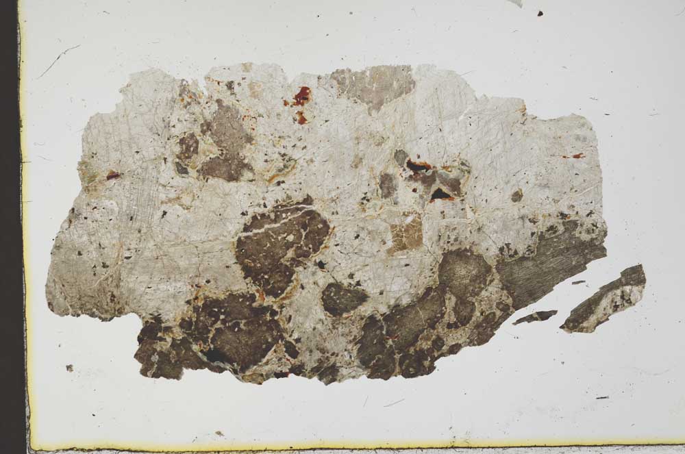 Plane Polarized, S19791