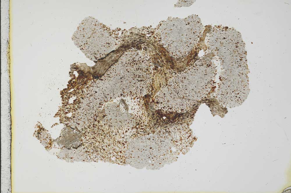 Plane Polarized, S19857