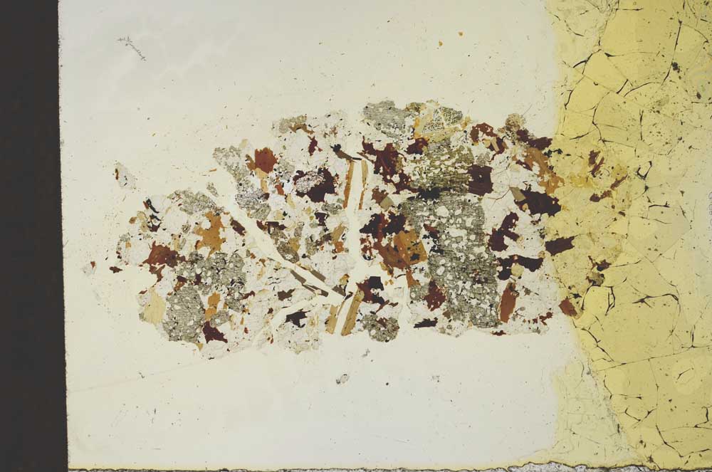 Plane Polarized, S19874