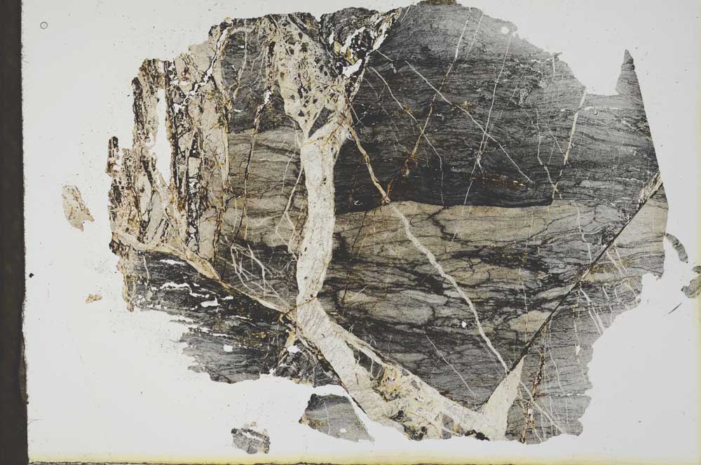 Plane Polarized, S19891