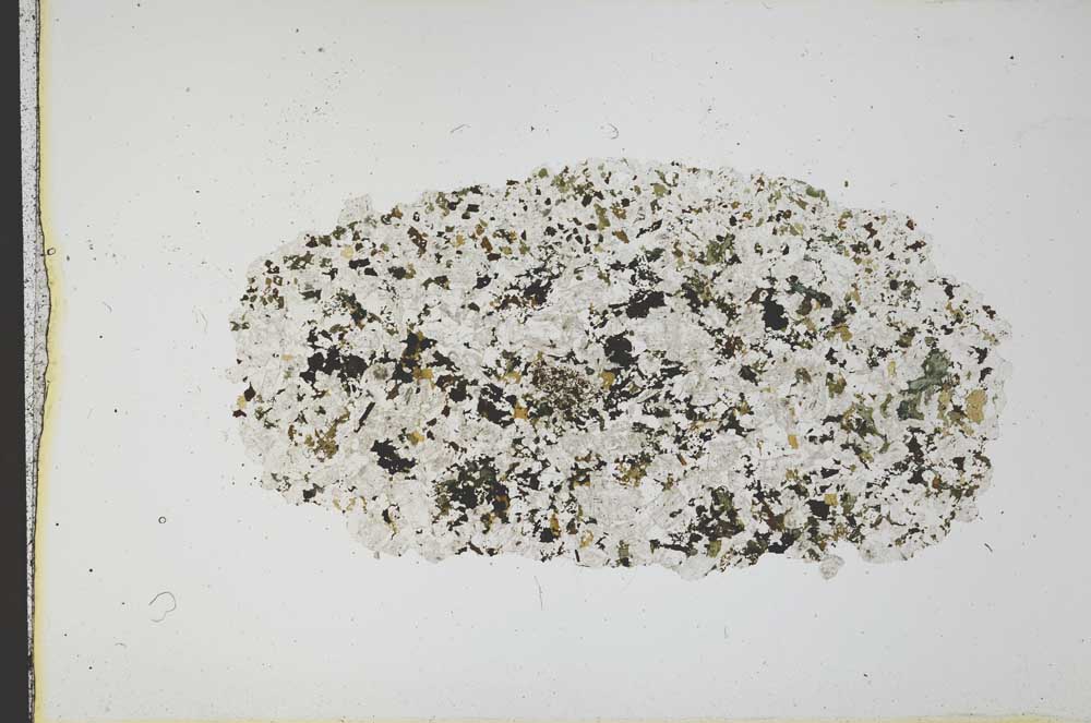 Plane Polarized, S19901