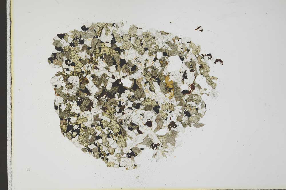 Plane Polarized, S19911