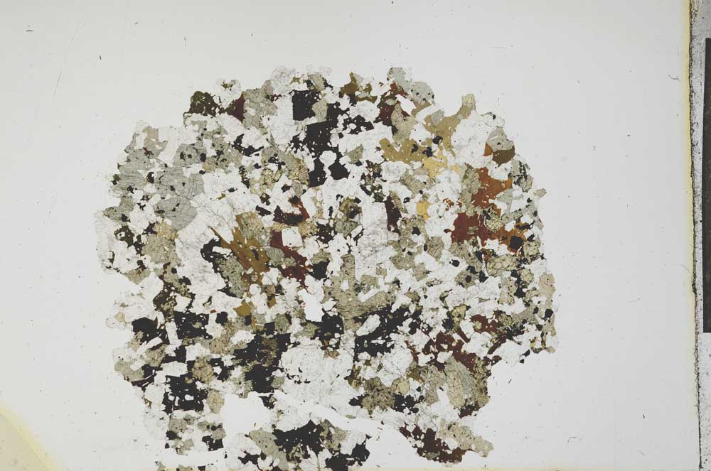 Plane Polarized, S19913