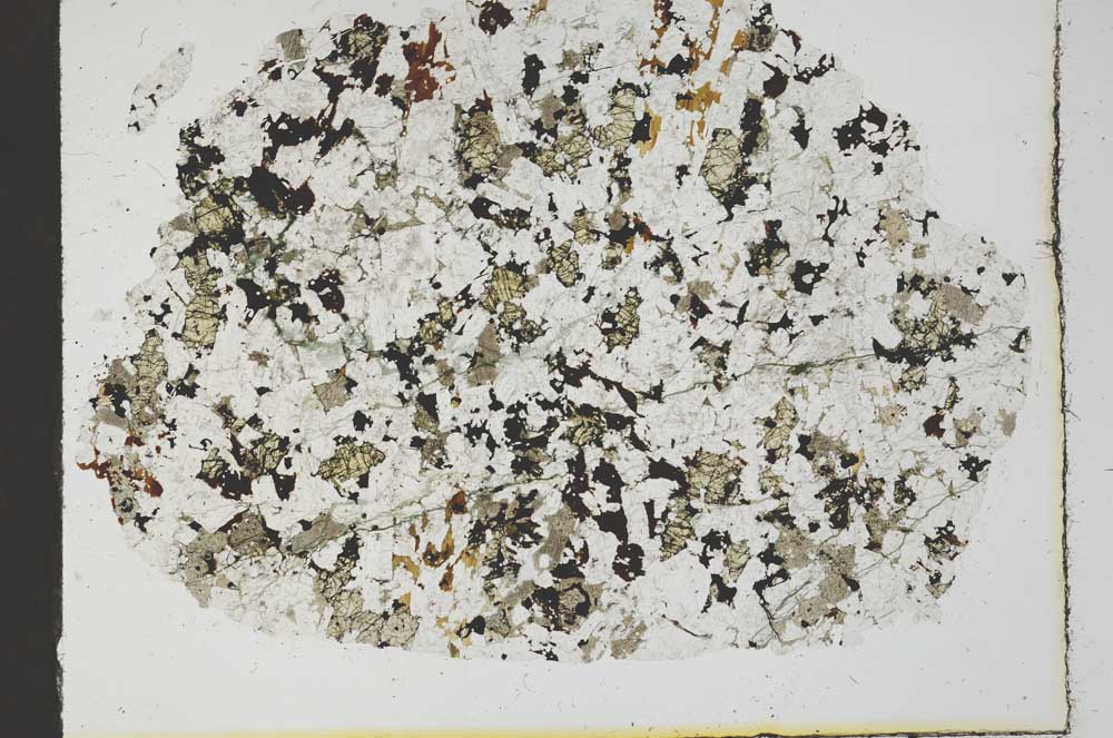Plane Polarized, S19917