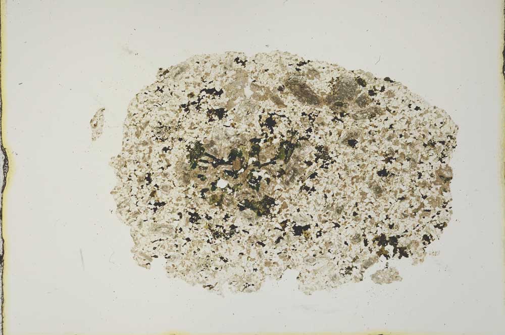 Plane Polarized, S19922