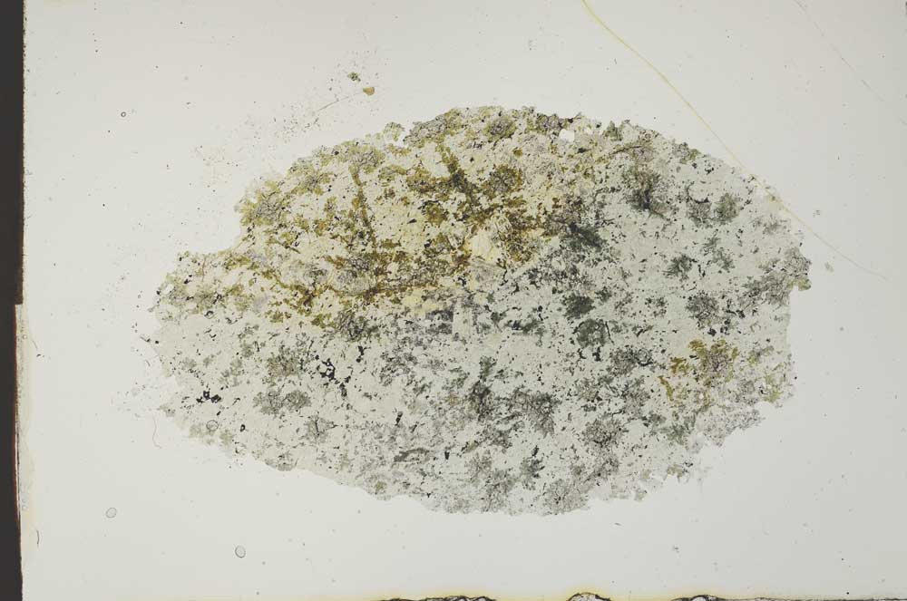 Plane Polarized, S19923