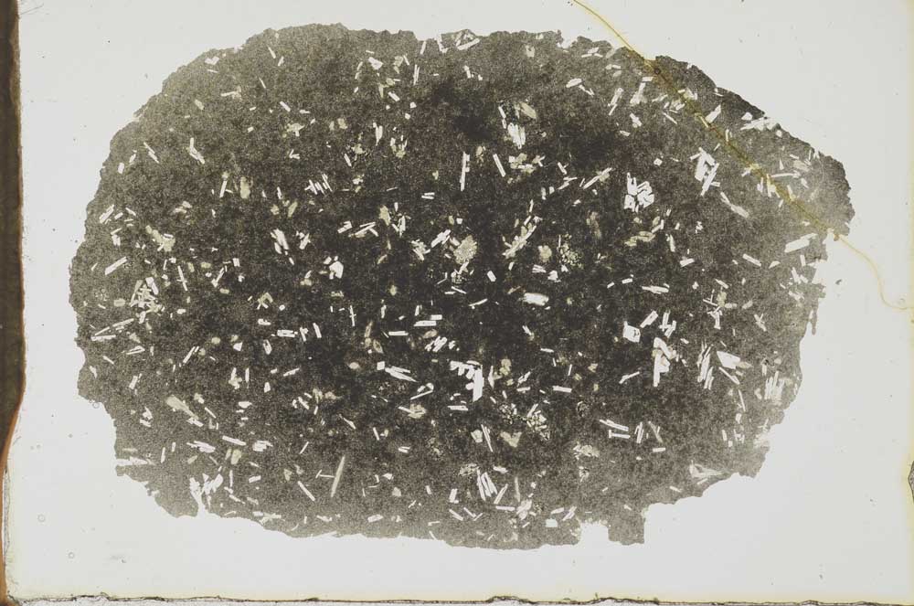 Plane Polarized, S19924