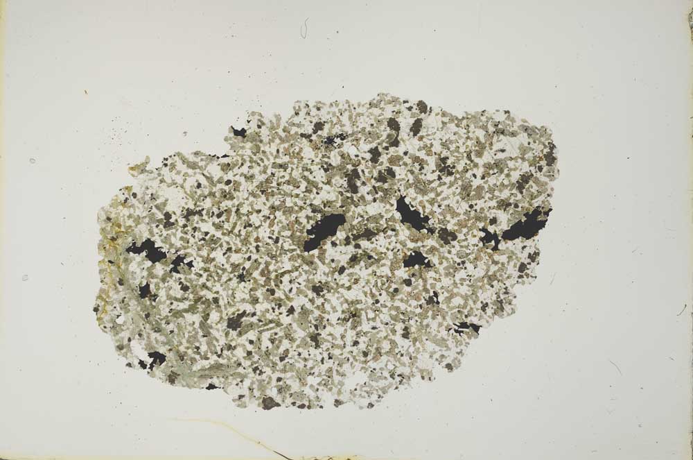Plane Polarized, S19929
