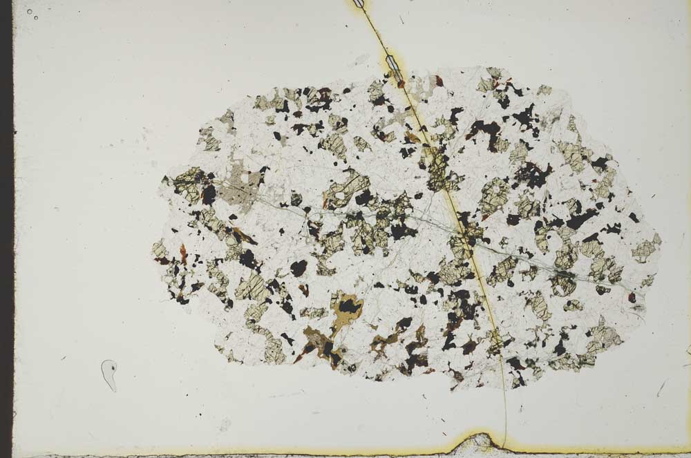 Plane Polarized, S19943