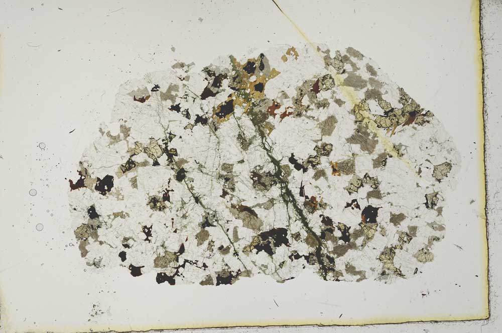 Plane Polarized, S19944