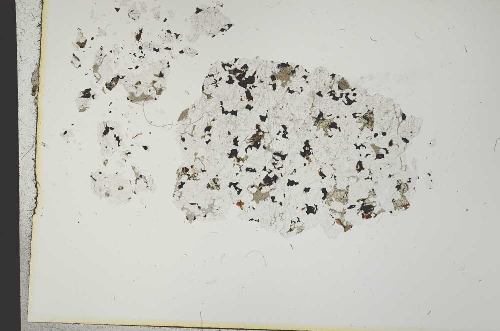 Plane Polarized, S19948