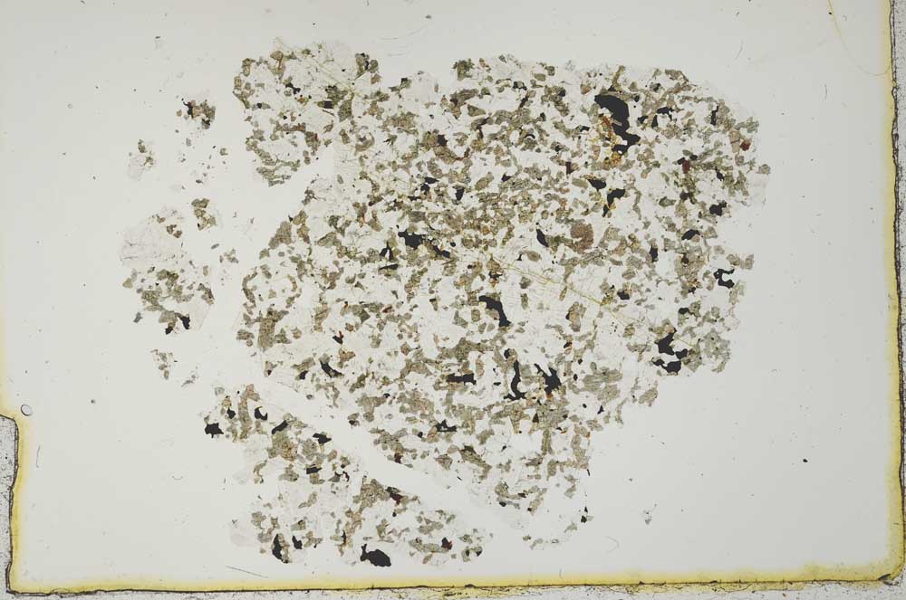 Plane Polarized, S19950