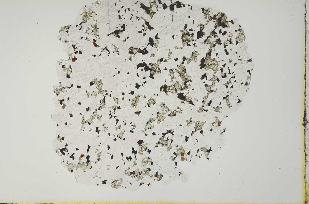 Plane Polarized, S19951
