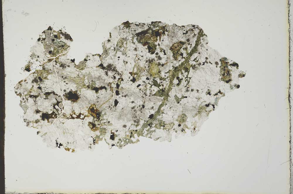 Plane Polarized, S19954