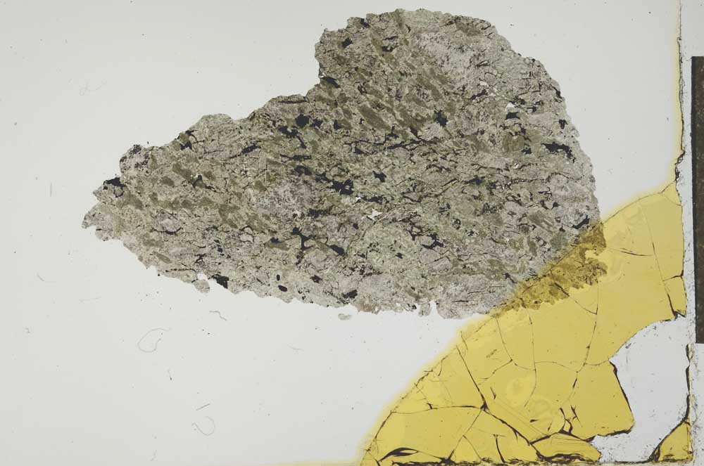 Plane Polarized, S19964