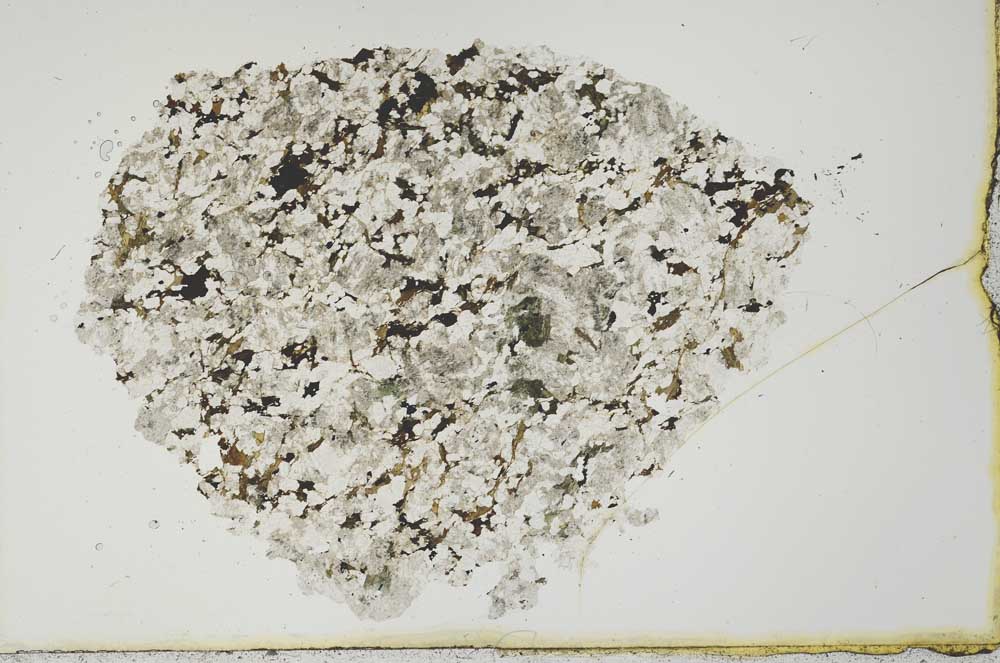 Plane Polarized, S19968