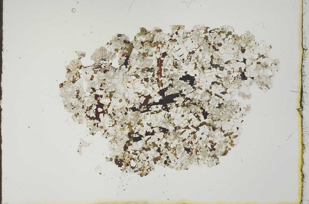 Plane Polarized, S19971