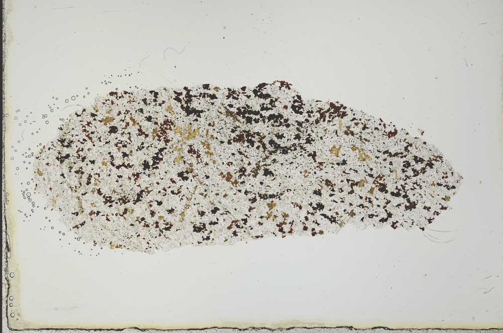 Plane Polarized, S19973