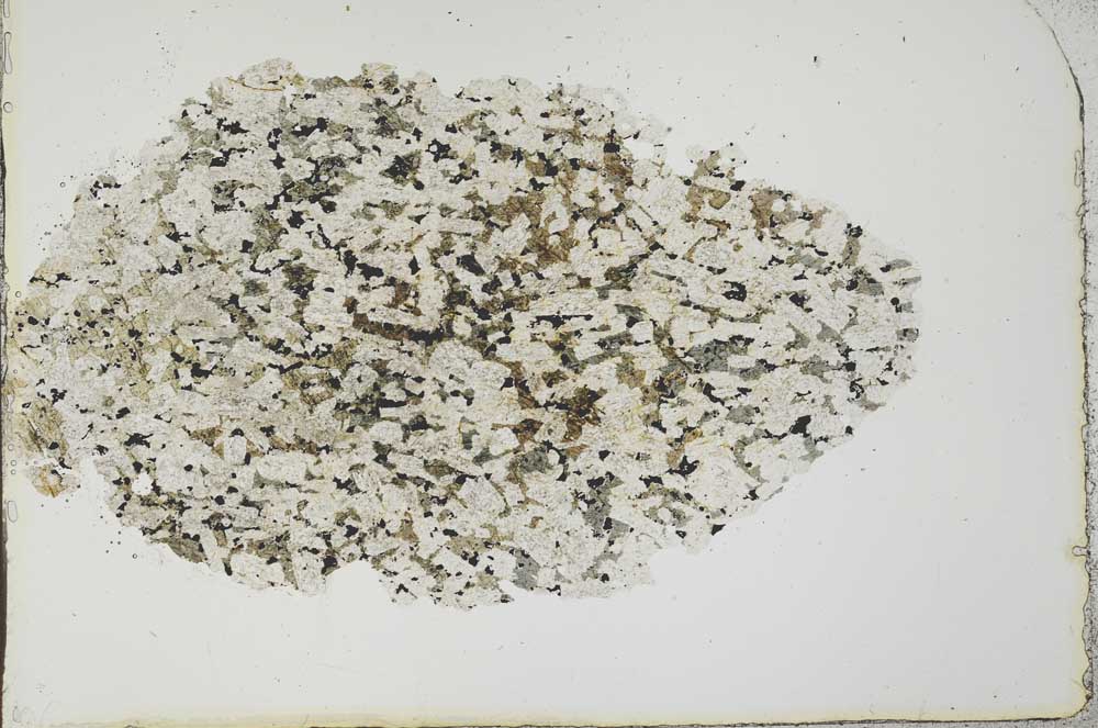 Plane Polarized, S19974