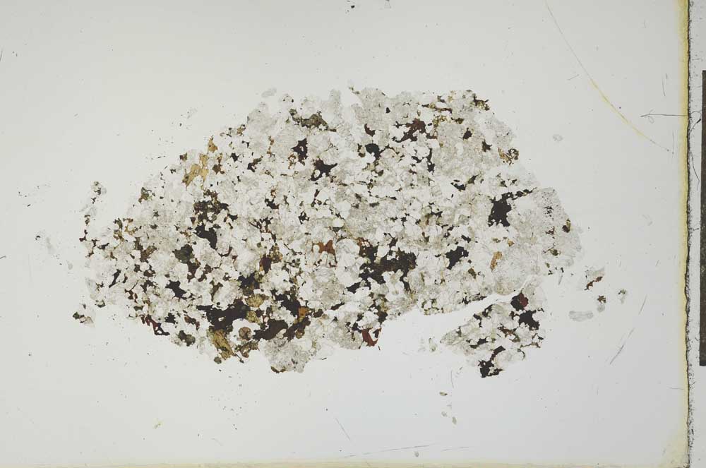 Plane Polarized, S19975