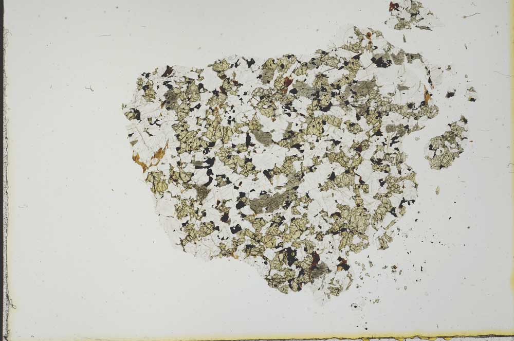 Plane Polarized, S19977